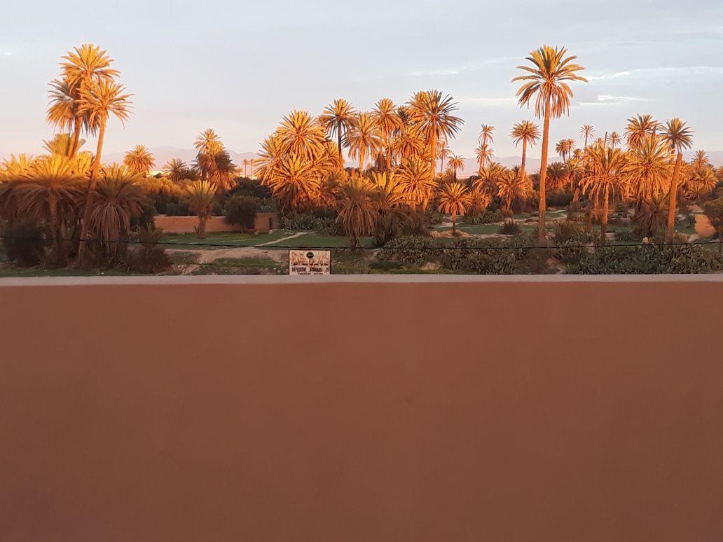 Riad Janoub Tiznit Exteriér fotografie